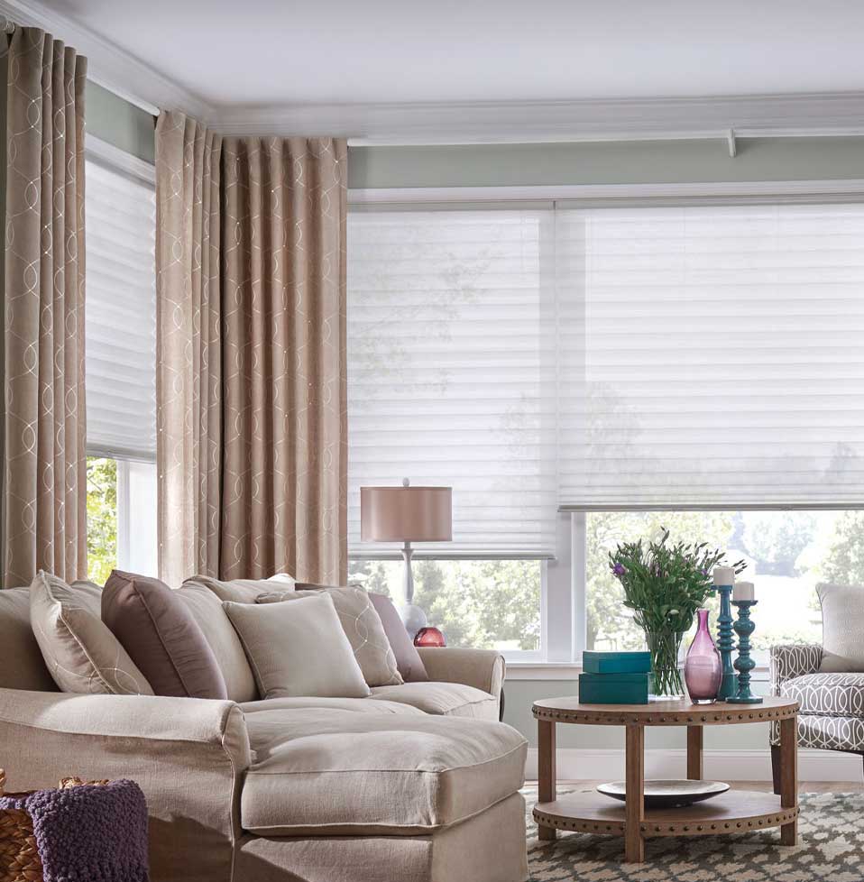 Blinds-with-curtains