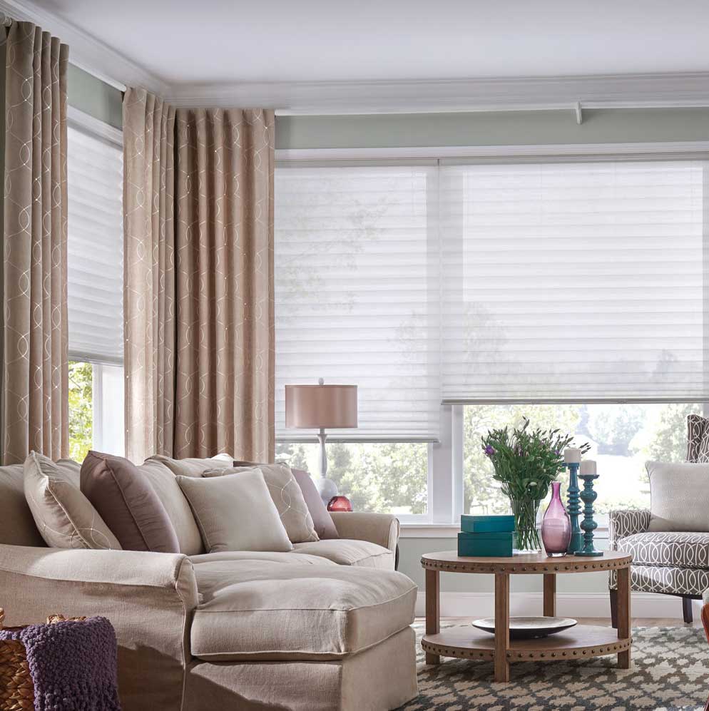 Blinds-with-curtains