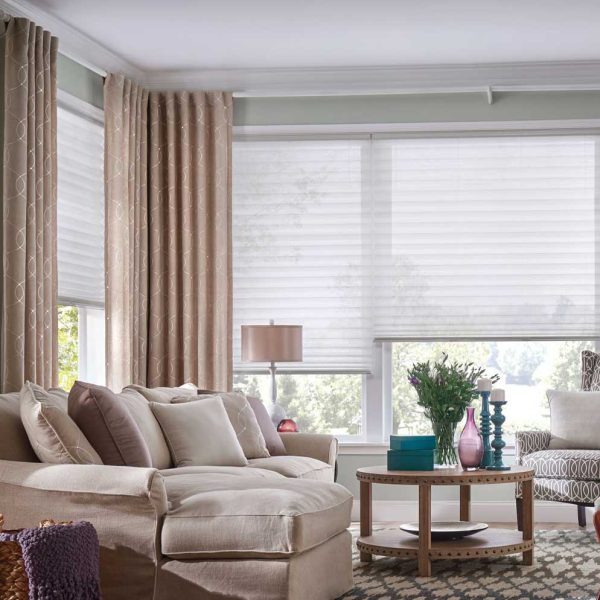 Blinds-with-curtains